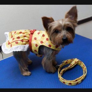 PET  HARNESS DRESS  WITH LEASH  ALL  SIZES